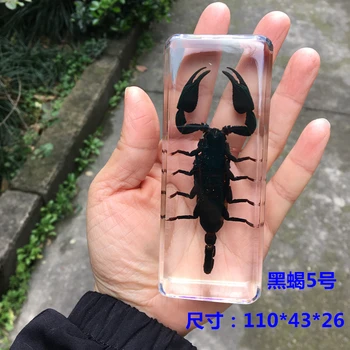 Черен Скорпион Жълт Скорпион Смола събирам скорпион кехлибар истински части от насекоми Крал насекоми Скорпион