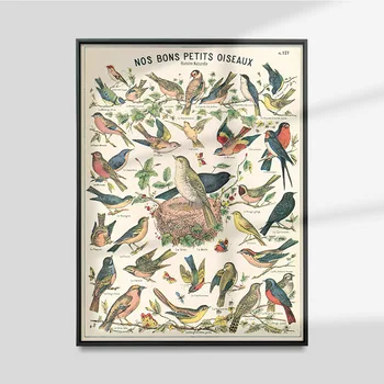 Ретро Постер Cavallini Bird World Плакат В Естествена История На Печат Платно Изкуство Живопис Хол Стенни Картина Декор