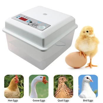 20 Яйца У Дома Инкубатор Автоматичен Контрол На Температурата Инкубатор Инструменти Малка Пластмасова Бионическая Водна Легло Селска Птичи Инкубатор За Яйца